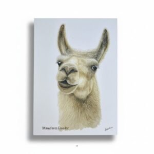 Organizador con líneas Llama Andina