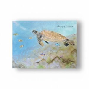 Libreta en blanco Tortuga Marina